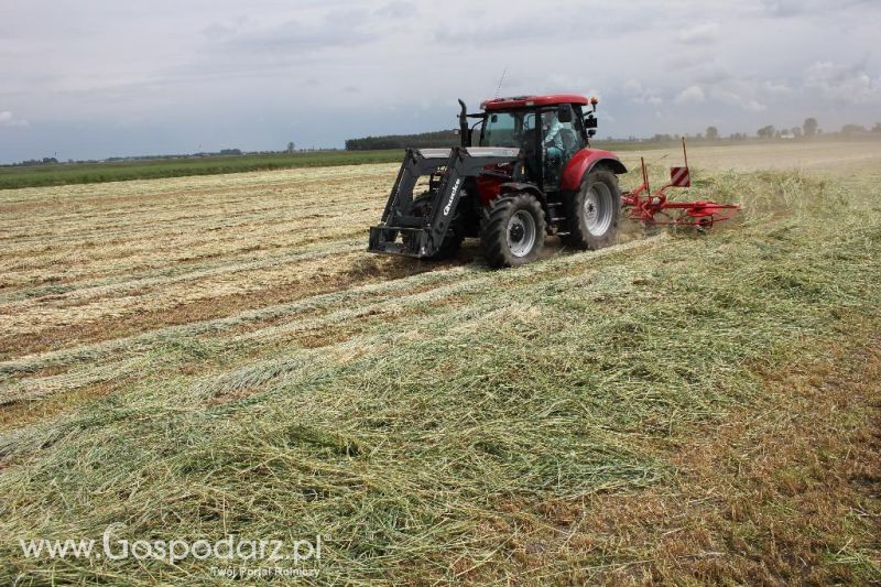 Pokazy polowe Romanów k/Krotoszyna