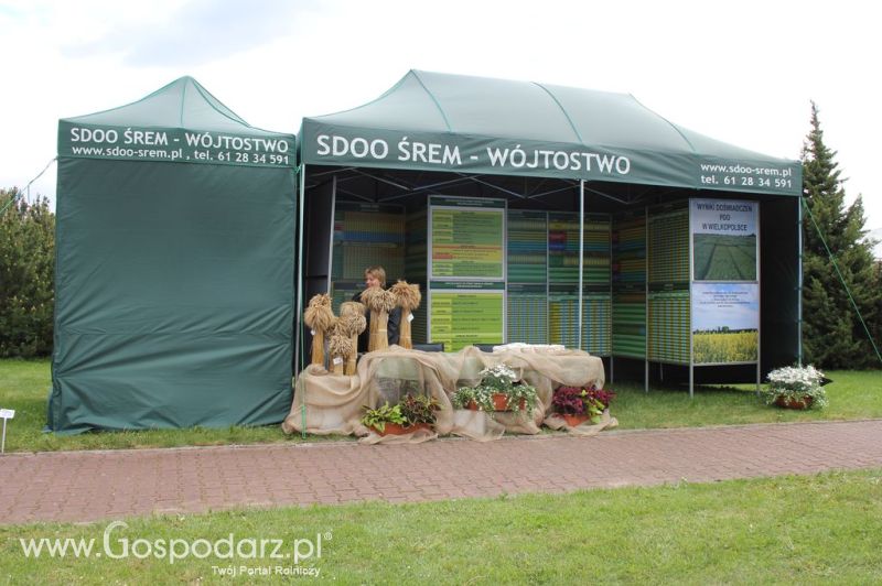 VII Ogólnopolska Wystawa Bydła Hodowlanego - Sielinko 2012