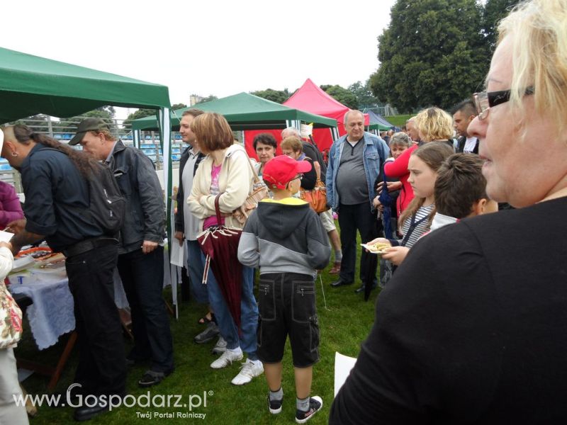 II Festiwal Wieprzowiny w Kwidzyniu