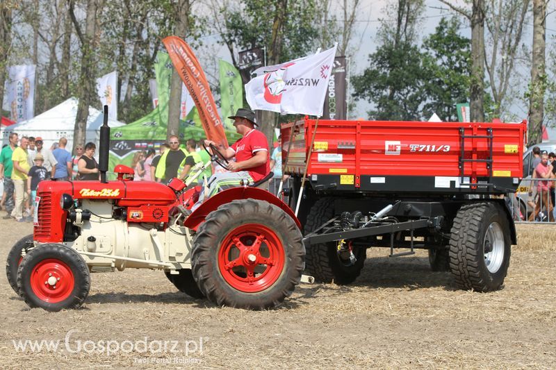 Targi Roltechnika w Wilkowicach 2015
