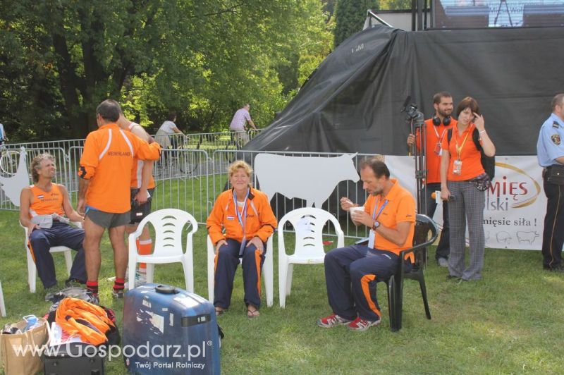 Świętomięs Polski w Chorzowie