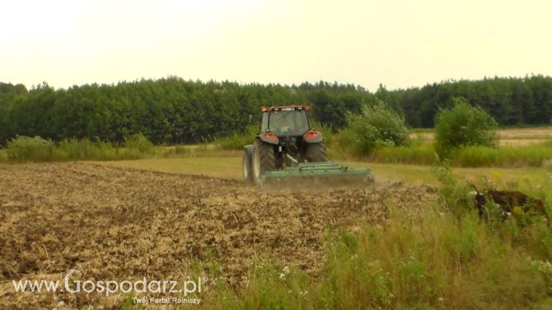 Talerzowane 2013 