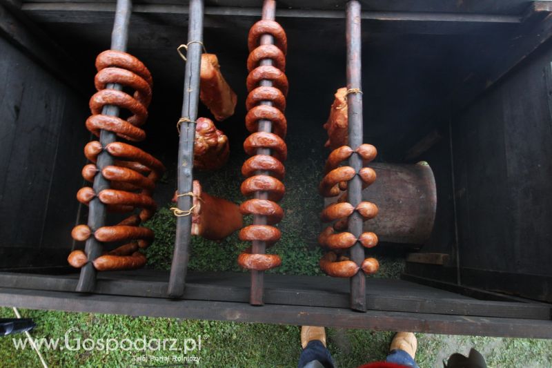 Festiwal Wieprzowiny w Bełżycach - niedziela