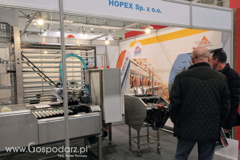FERMA 2020 dzień 2