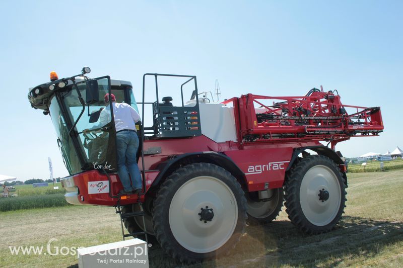 Polskie Zboża 2011 - Piątek 