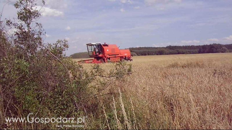 ŻNIWA 2012