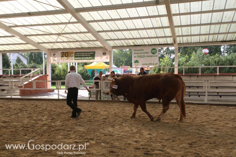 I Krajowa Wystawa Bydła Mięsnego w Sielinku - sobota