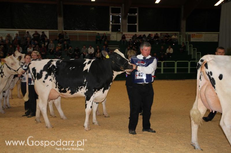 Wystawa  Blickpunkt Rind 2013 w miejscowości Paaren/Glien (Niemcy)