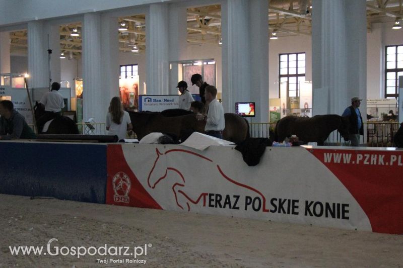 XXVI Krajowa Wystawa Zwierząt Hodowlanych - piątek