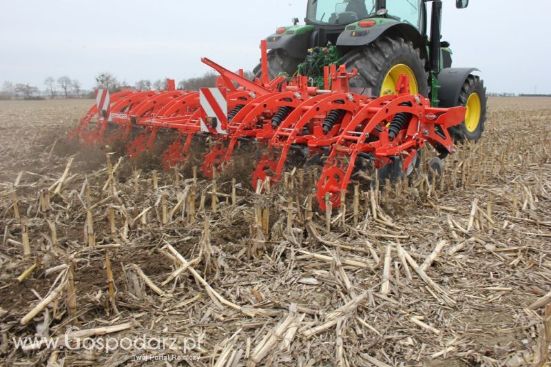 Kultywator STRIGER do uprawy pasowej