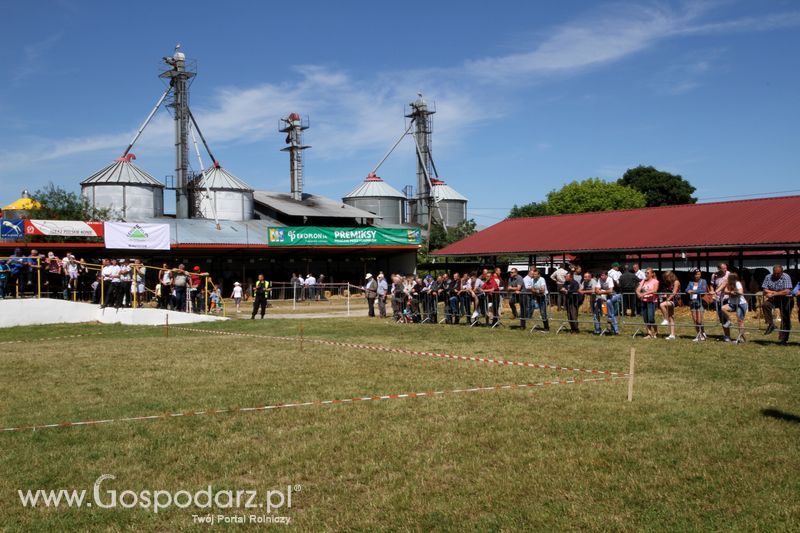 Wystawa zwierząt w Szepietowie
