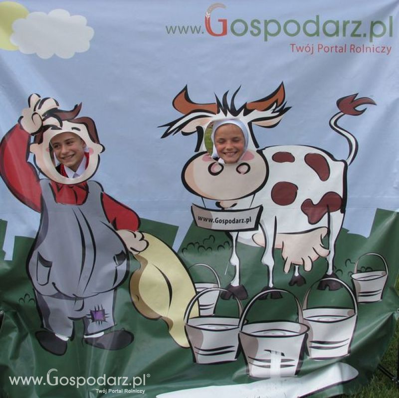 Wielkopolskie Targi Rolnicze „Sielinko 2011”  - Krówka Gospodarza