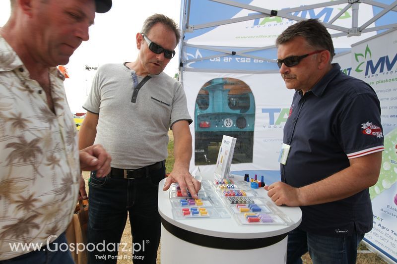 OPOLAGRA 2015 w Kamieniu Śląskim