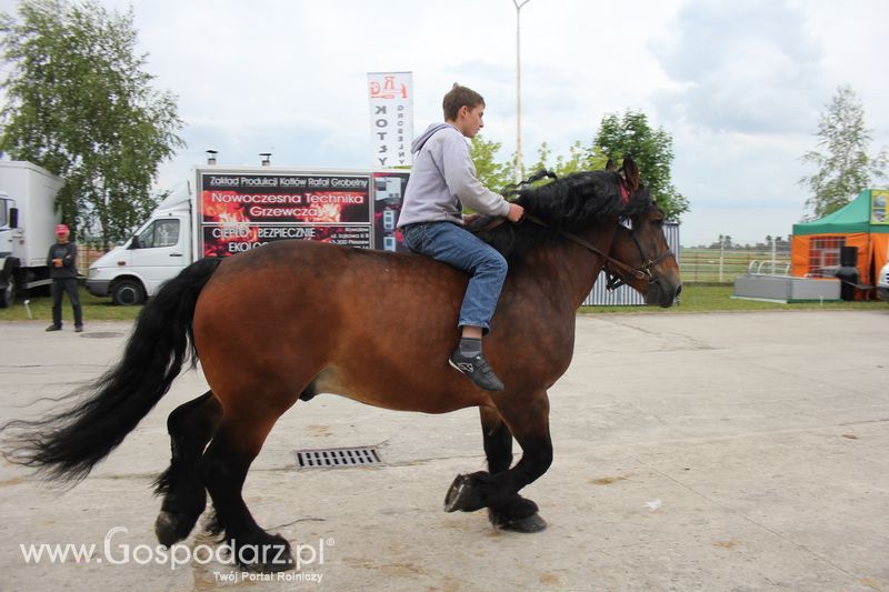 Wielkopolskie Targi Rolnicze „Sielinko 2011”  - Sobota