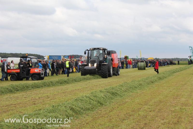 Pokazy maszyn Polskie Zboża Zielone Agro Show 2013