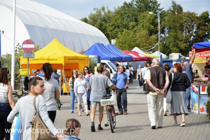  Targi ROLEXPO 2014