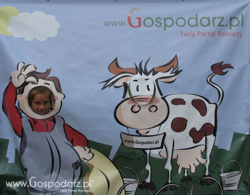 Wielkopolskie Targi Rolnicze „Sielinko 2011”  - Krówka Gospodarza