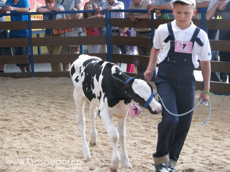 Młody Hodowca - Szepietowo 2012 XIX Regionalna Wystawa Zwierząt Hodowlanych