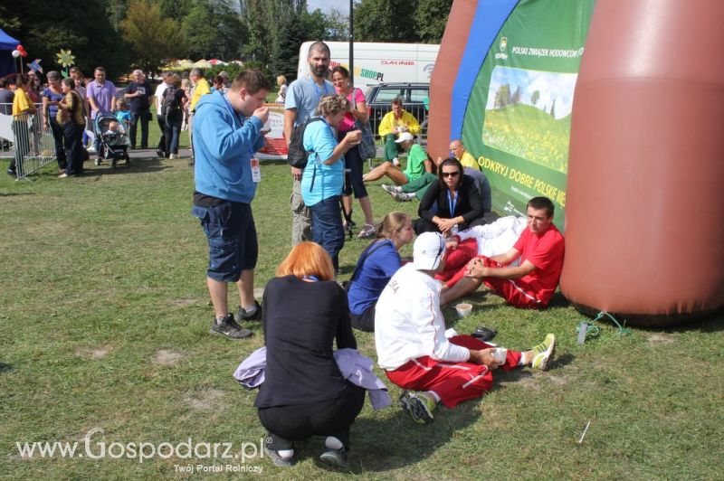 Świętomięs Polski w Chorzowie