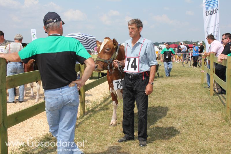 Superchampioni i championi Śląskiej Wystawy Bydła Mlecznego Opolagra 2011