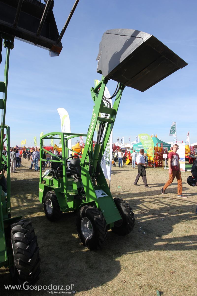 Dampol na AGRO SHOW 2016