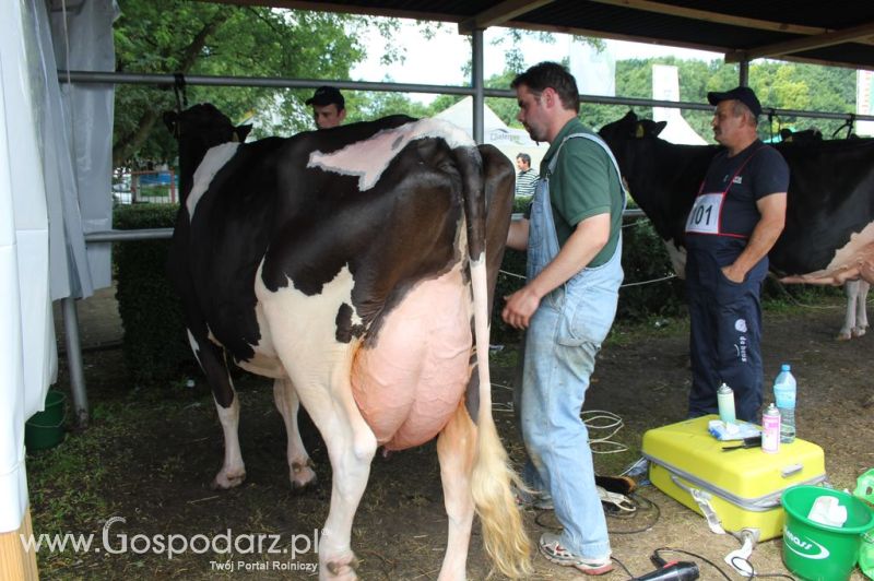 Relacja Foto Agro-Tech Minikowo 2012