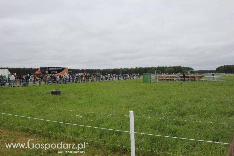 Polskie Zboża i Zielone Agro Show 2013