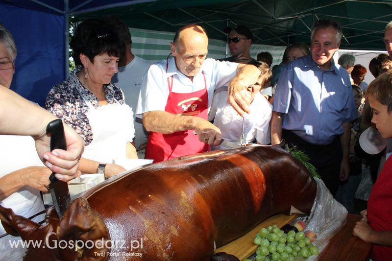 Ogólnopolski Festiwal Wieprzowiny w Łasinie