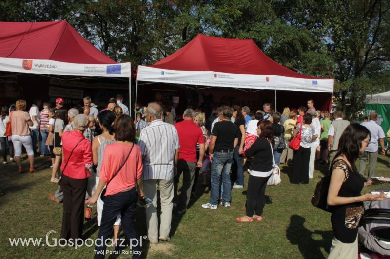 II Festiwal Wieprzowiny w Wąbrzeźnie