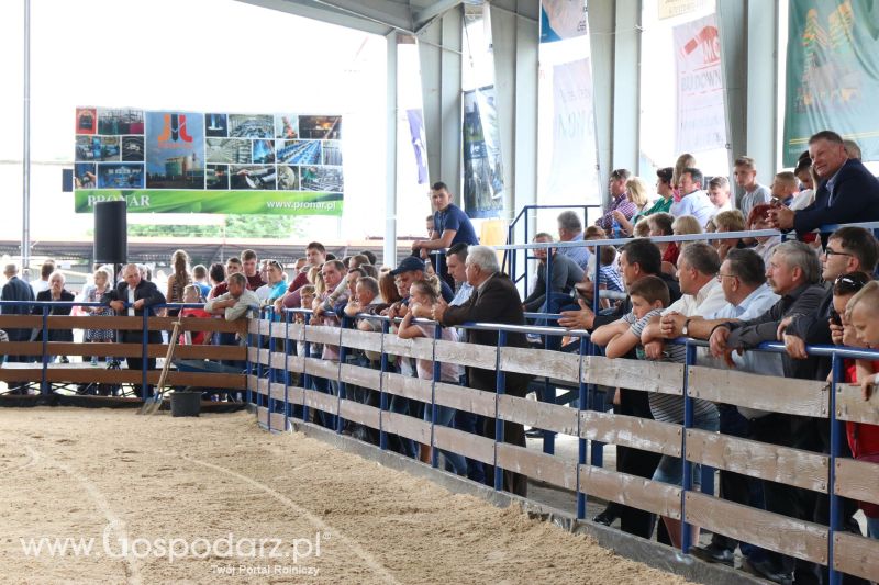 Regionalna Wystawa Zwierząt Hodowlanych i Dni z Doradztwem Rolniczym w Szepietowie 2017 (niedziela)