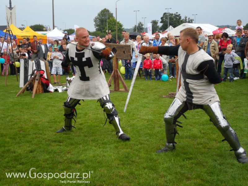 II Festiwal Wieprzowiny w Kwidzyniu