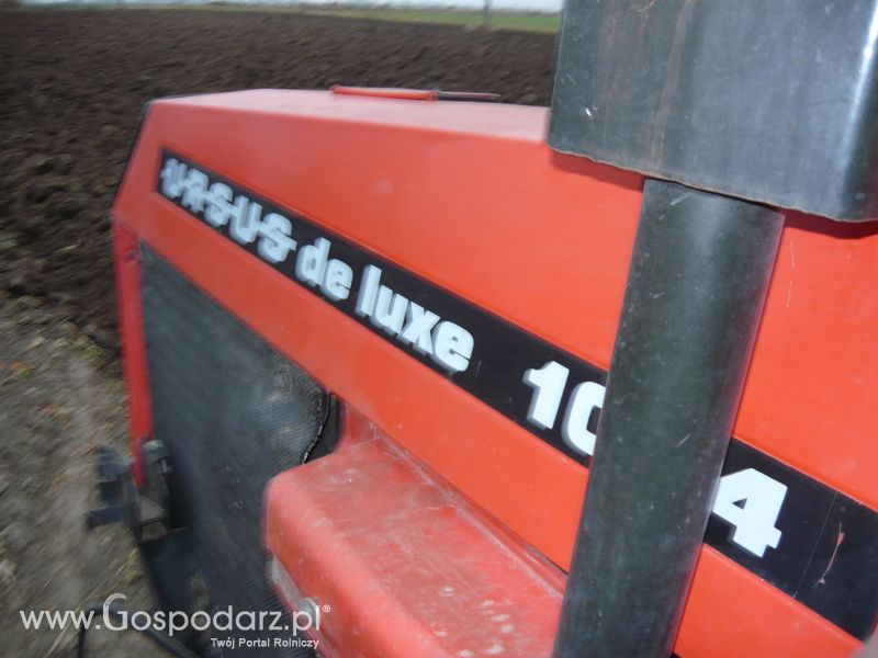 MrZgredy de luxa mają więc w polu sobie rade dają Orka Zimowa 2011
