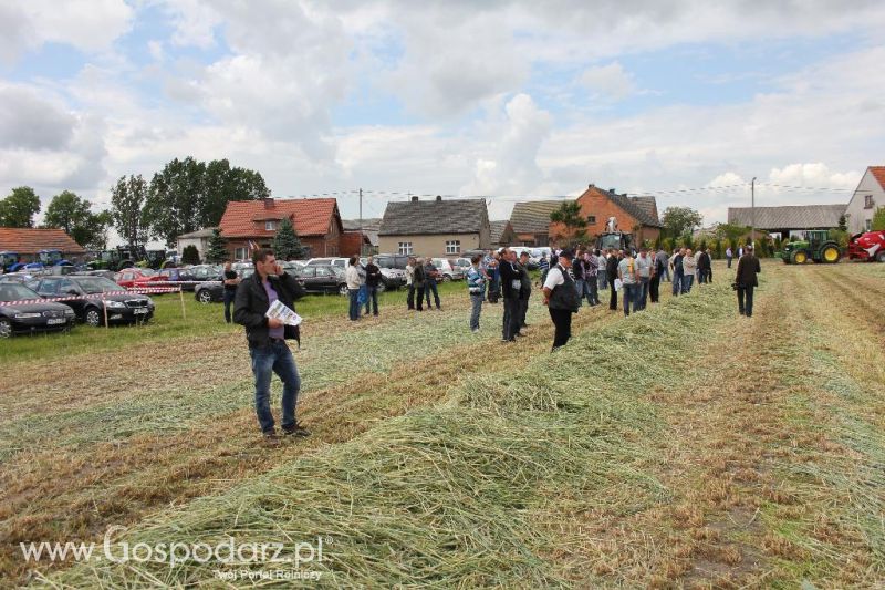 Pokazy polowe Romanów k/Krotoszyna