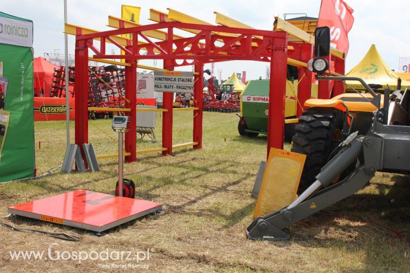 Ditta-Seria na Opolagrze 2013