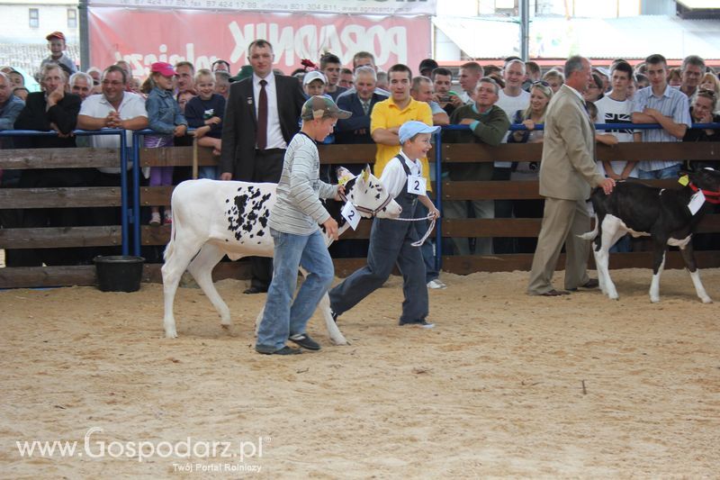 Młody hodowca na XVIII Regionalnej Wystawie Zwierząt Hodowlanych w Szepietowie