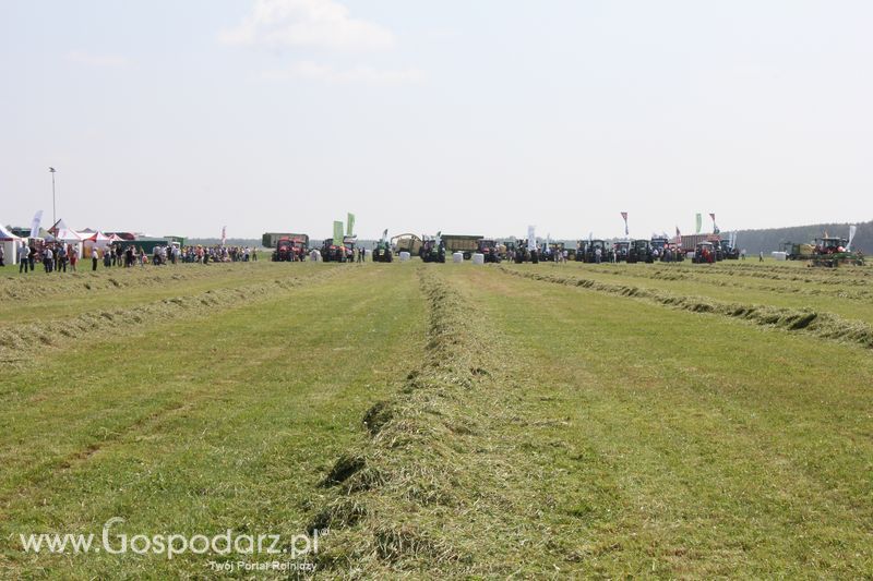 Zielone Agro Show pokaz maszyn rolniczych