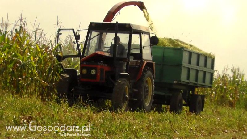 Kiszonka 2013