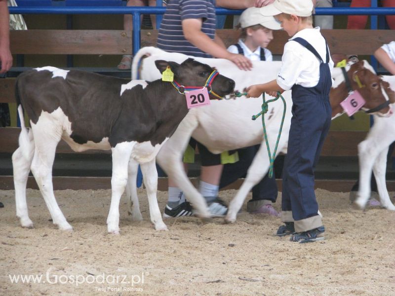 Młody Hodowca - Szepietowo 2012 XIX Regionalna Wystawa Zwierząt Hodowlanych