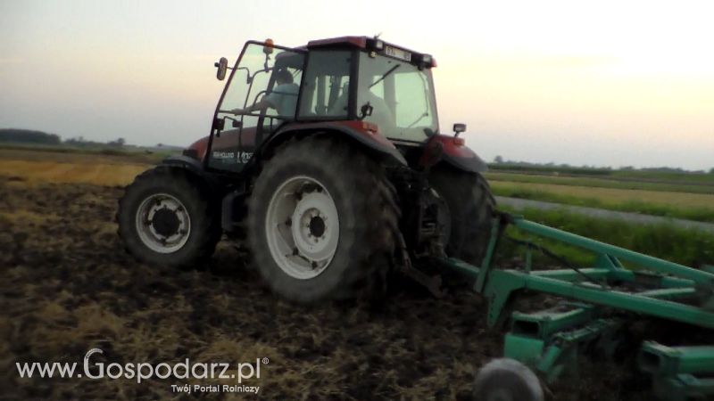 Talerzowane 2013 