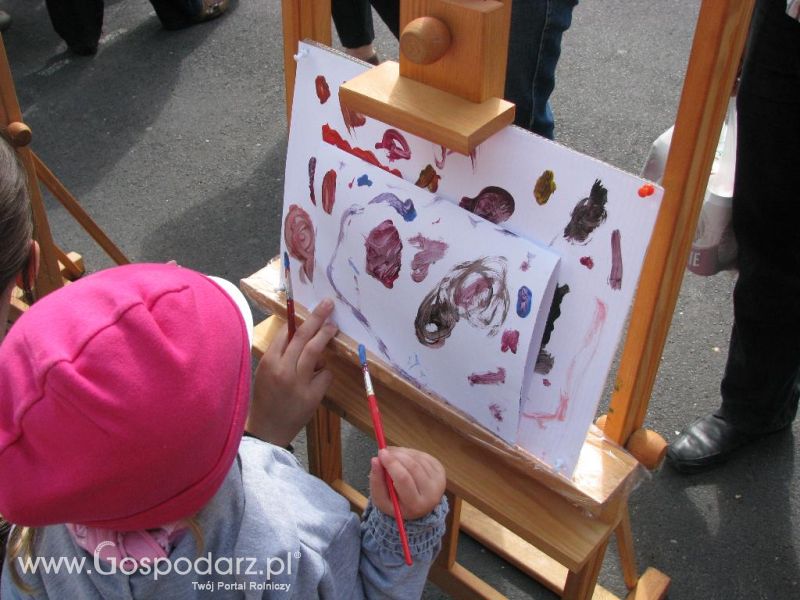 Festiwal Wieprzowiny w Koźminie Wielkopolskim 2013