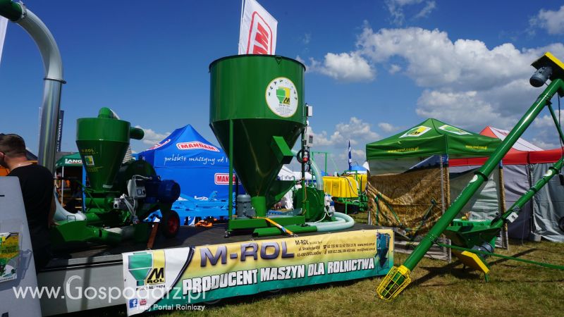 M-Rol na Opolagrze 2017