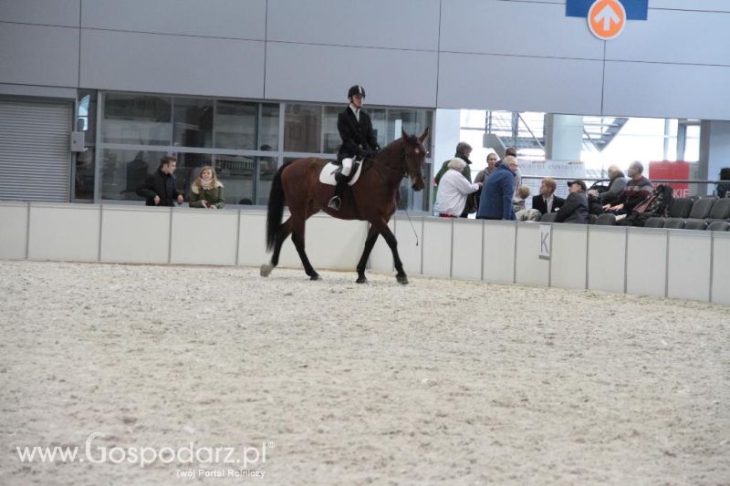 CAVALIADA 2013 w Poznaniu