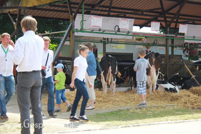 Regionalna Wystawa Zwierząt Hodowlanych i Dni z Doradztwem Rolniczym w Szepietowie-sobota