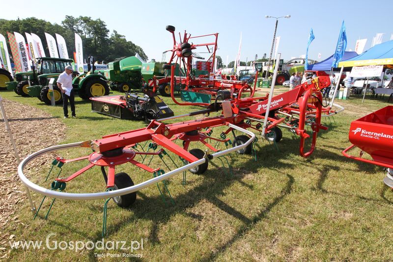  Regionalna Wystawa Zwierząt Hodowlanych W Szepietowie 2016 z Gospodarz.pl