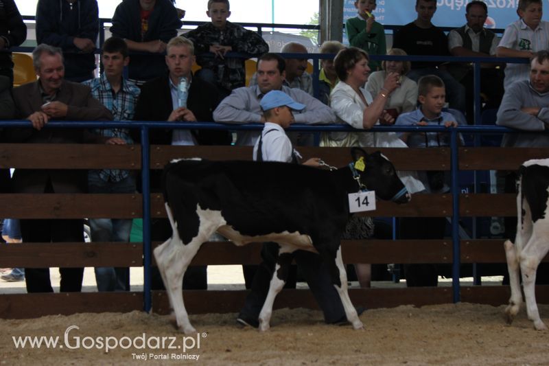 Młody hodowca na XVIII Regionalnej Wystawie Zwierząt Hodowlanych w Szepietowie