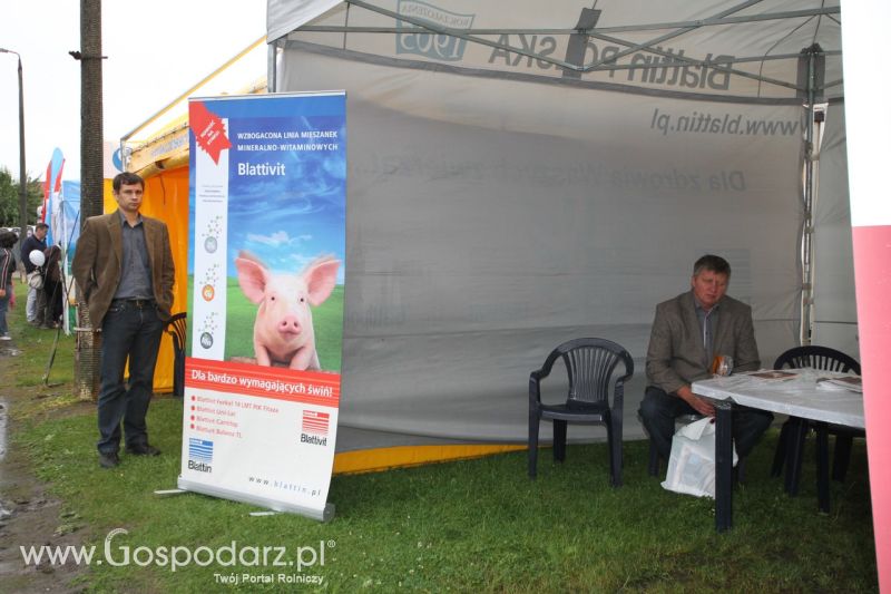 Festiwal Wieprzowiny w Bełżycach - niedziela