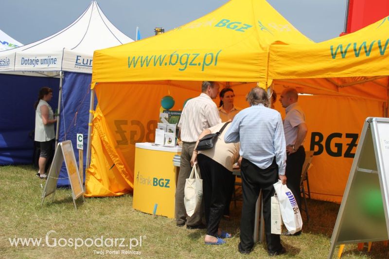 Bank BGŻ na Opolagra 2012