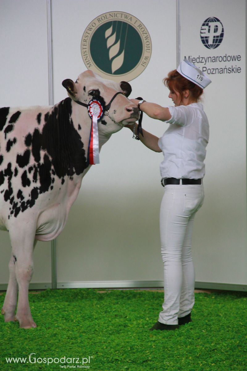 KWZH 2015 piątek