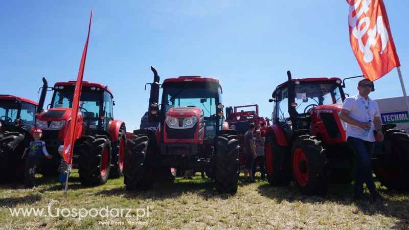 Zetor na ZIELONE AGRO SHOW w Ułężu 2017