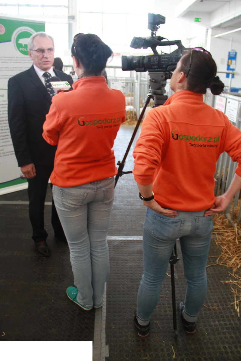 KWZH 2015 sobota